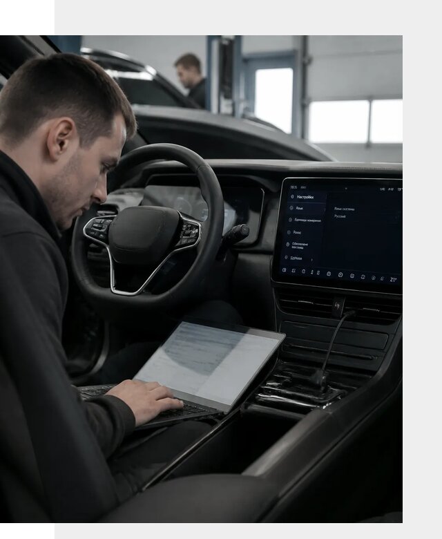 Русификация автомобилей BYD под ключ для всех моделей в Острогожске