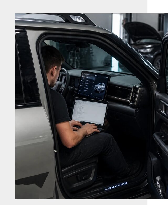 Русификация BYD Leopard 3 в Острогожске по цене от 20758 р. | ФастМобиль-Стг