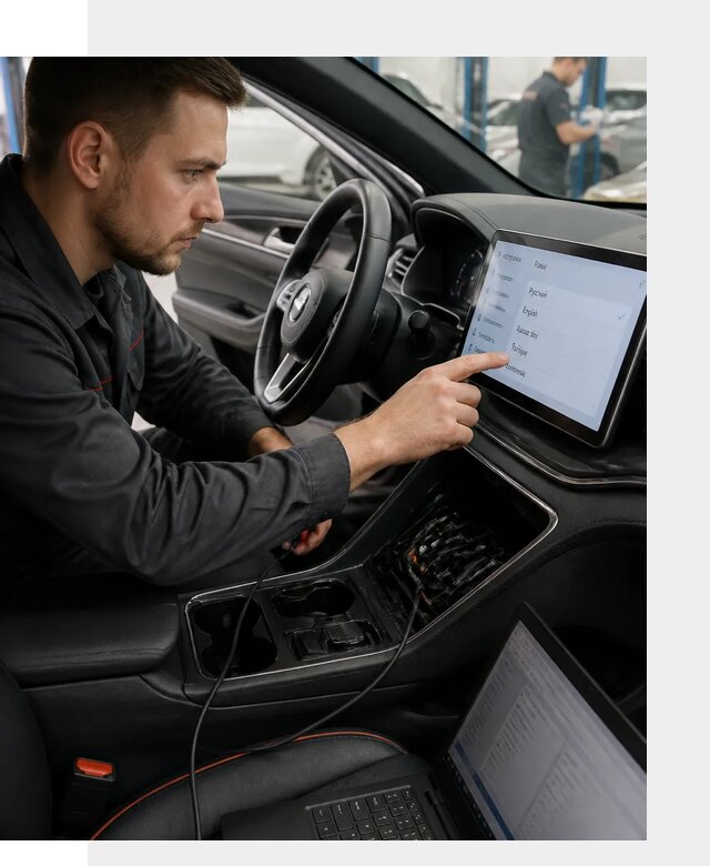 Профессиональная русификация BYD SONG Plus в Острогожске